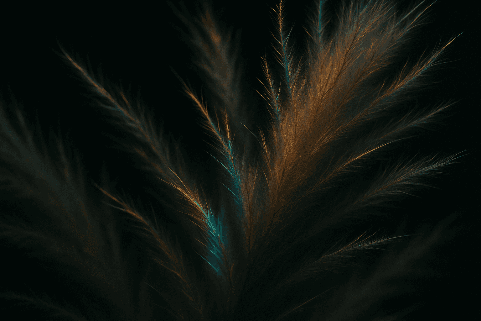 FLORA canvas